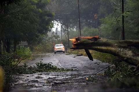 Cyclone Titli. (File | EPS)