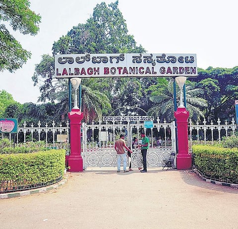Lalbagh’s two-acre butterfly park will take over six months to complete, officials say