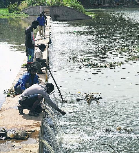 Contract labourers clean Ulsoor Lake. Image used for representational purpose only. (Photo| Nagesh Polali)