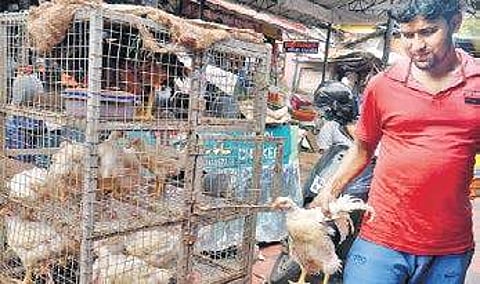 A chicken shop at Palayam market Vincent Pulickal