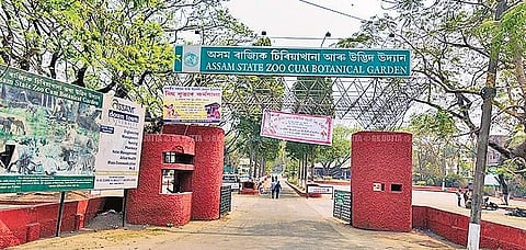 Assam State Zoo