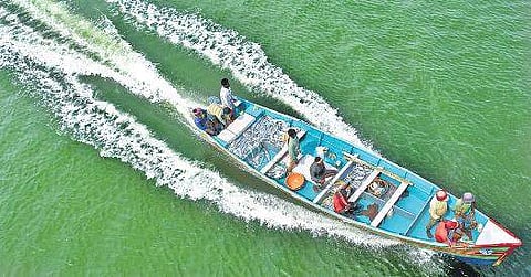 The Met Department warning to the fishermen not to venture into Arabian Sea from October 5 has come at a wrong time. After months of lean patch, the fishermen were looking up to the season for a good catch. Here, a boat is seen returning with the day’s ca