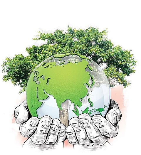 The project is mainly aimed at implementing the green protocol on all school campus by December 31.