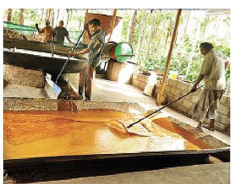 Marayur jaggery contains hundred per cent sugarcane juice | Express