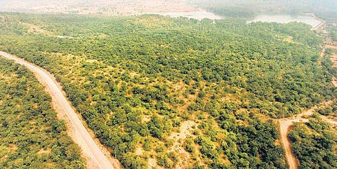 The project will impact two protected areas as well as two elephant corridors