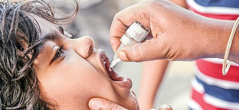 A representational image of a child being administered polio drops in Vijayawada (File | Express)