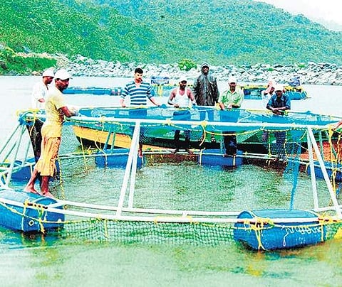 The policy aims to ensure sustainable farmed seafood production for food and nutritional security and to provide additional livelihood options to coastal communities.