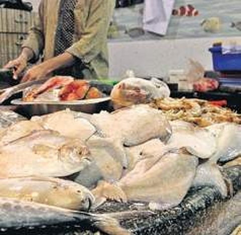 Image used for representational purpose.