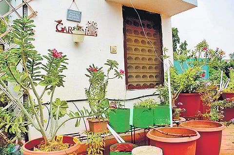 Anju Agarwal has three terrace gardens in her house with over 50 plants Debadatta Mallick