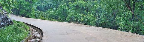 The Shiradi Ghat road