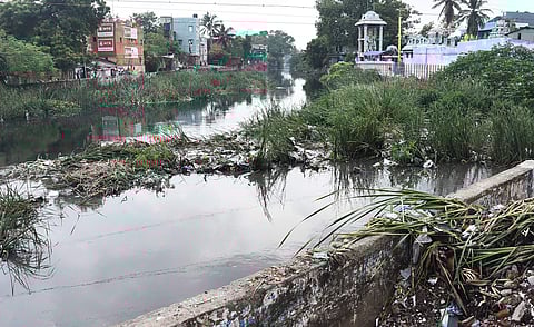 Otteri Buckingham Canal. (File | EPS)