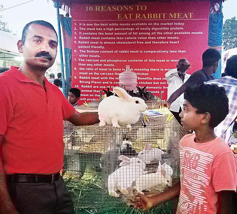 Rabbits at display at Krishi Mela with a board on why one must consume rabbit meat over other meats