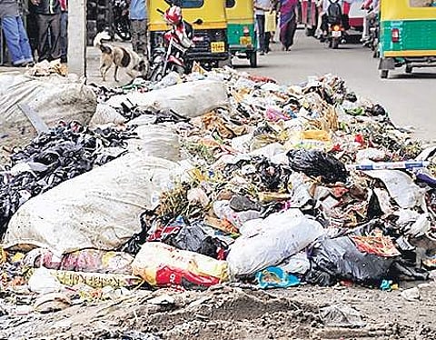 30 BBMP Marshals have fined 4,925 people for littering