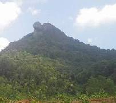 Cashing in on the beauty of Chittipara