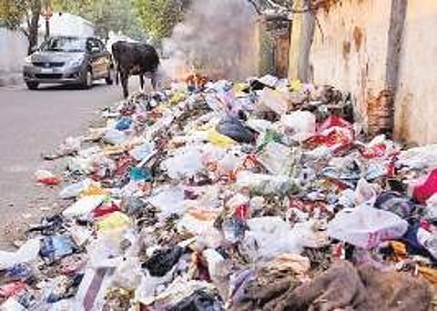 Thiruvananthapuram Corporation has come up with a proposal to set up waste management plants free of cost for institutions that generate waste on a large scale