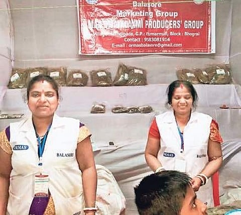 Handipada bay leaves a hit among Baliyatra visitors in Odisha