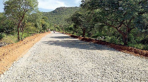 M Hills Wildlife Sanctuary