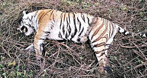 Image used for representational purpose only.