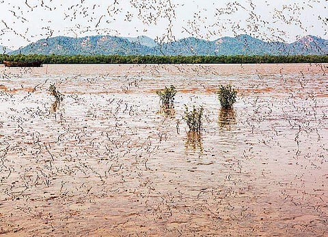 The exhibition puts together new and old works in the form of archival prints, diasecs and installations