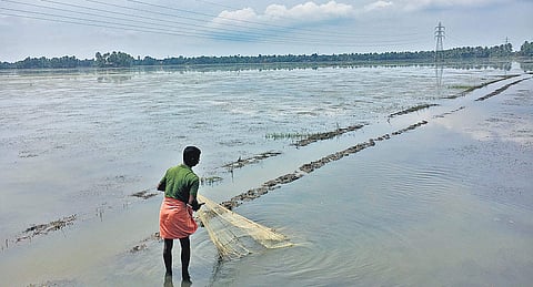 Image used for representational purpose.