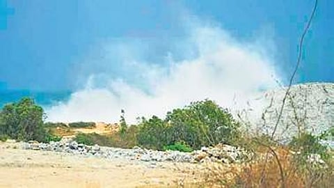 Image of Bannerghatta park area (Photo|EPS)