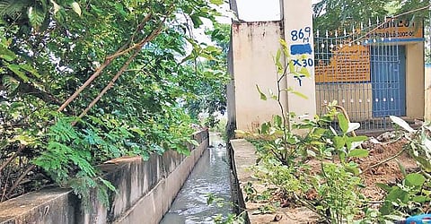 The STP in Chitalapakkam is not being operated. | Express Photo Services