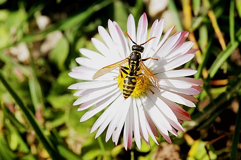 Image used for representational purpose only