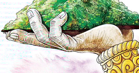 On the Enigma of Hanuman