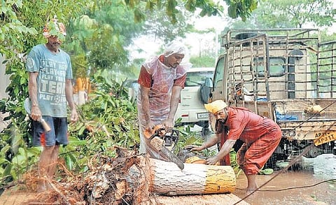 GVMC staff clearing branches of a fallen tree near MVP colony in Vizag on Monday