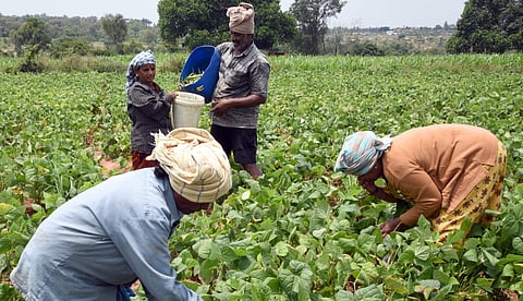 For representational purposes (File | EPS)