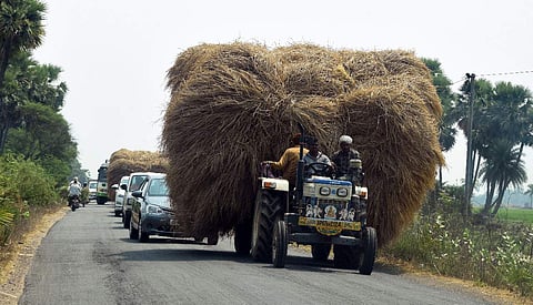 Representational Image. | (File | EPS)