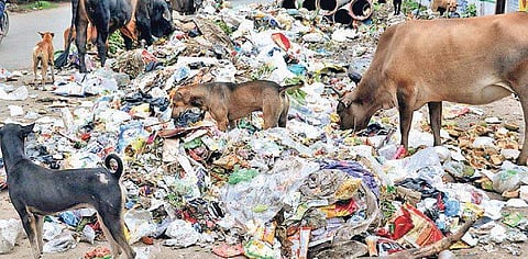 Image used for representational purpose only. (Photo| Express)