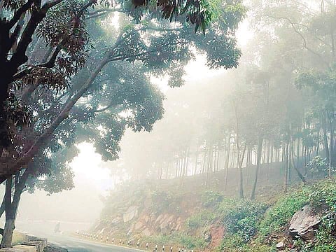 A fog covered ghat road in Sunki area of Koraput district | Express