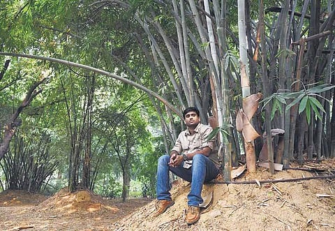 The serpent whisperer