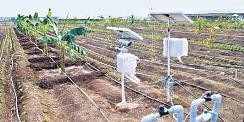 The new technology designed exclusively for the sight-impaired to take up farming