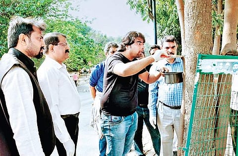 The metal fences were installed at the trees’ infancy stages and according to volunteers, should have been removed five years later