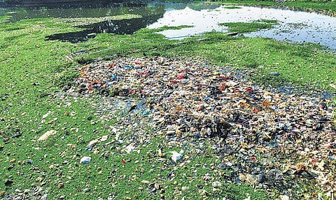 Residents claim that despite complaints, BBMP has not taken action towards regular garbage collection