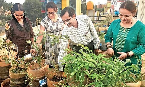 CS Sudarshana’s family also helps him take care of the plants in his 500-sqft terrace garden in Mysuru