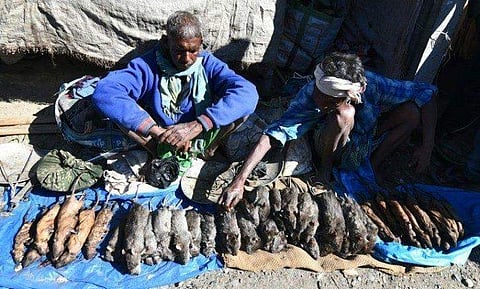 Vendors selling rat meat at a market in Assam. (Photo | AFP)