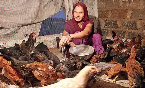 The project has impacted women positively. With their extra income, they have a bigger say in their household matters and can spend on educating their children