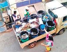 Civic staff collecting garbage from doorsteps in Berhampur | Express