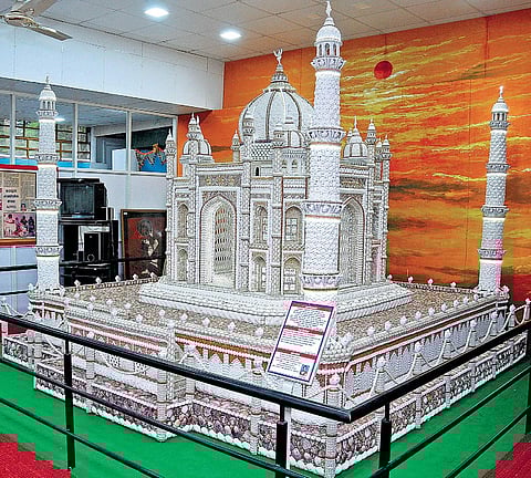 Shellfie with shells