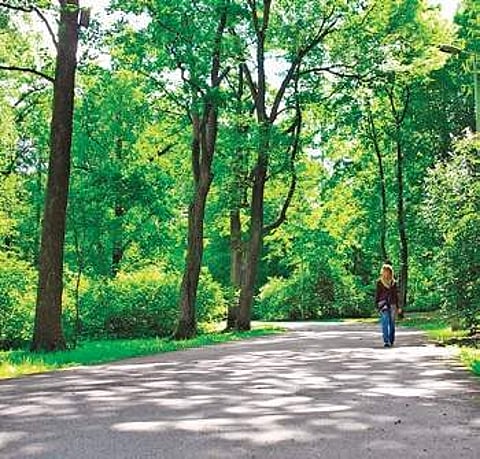 Take a deep breath: HMDA to develop 16 forest clusters as urban lung spaces in Hyderabad