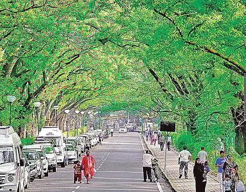 The initiative was announced last year but was delayed due to lack of manpower