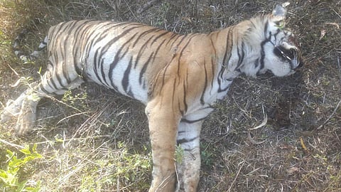 Image used for representational purposes only(File | EPS)