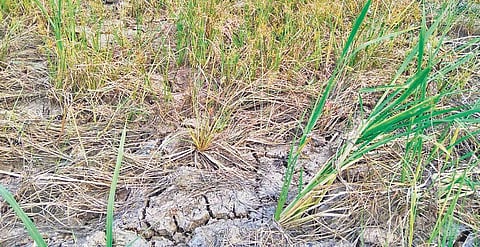 Image used for representational purpose only.