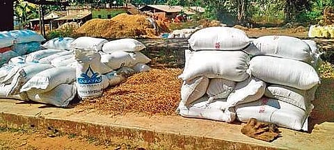 Bags of paddy at a mandi in Koraput district