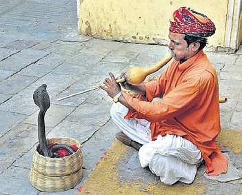 Instruments of history play out Punjabi heritage