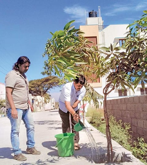 Para athlete T V Subramani (right) is nurturing 67 trees on the roadside in Rajanukunte, near Bengaluru