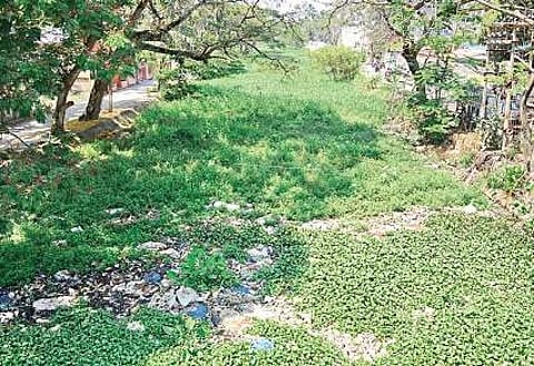 Parvathi Puthanar at Vallakkadavu stretch. It is a man-made canal that runs through the west coast of Thiruvananthapuram B P Deepu